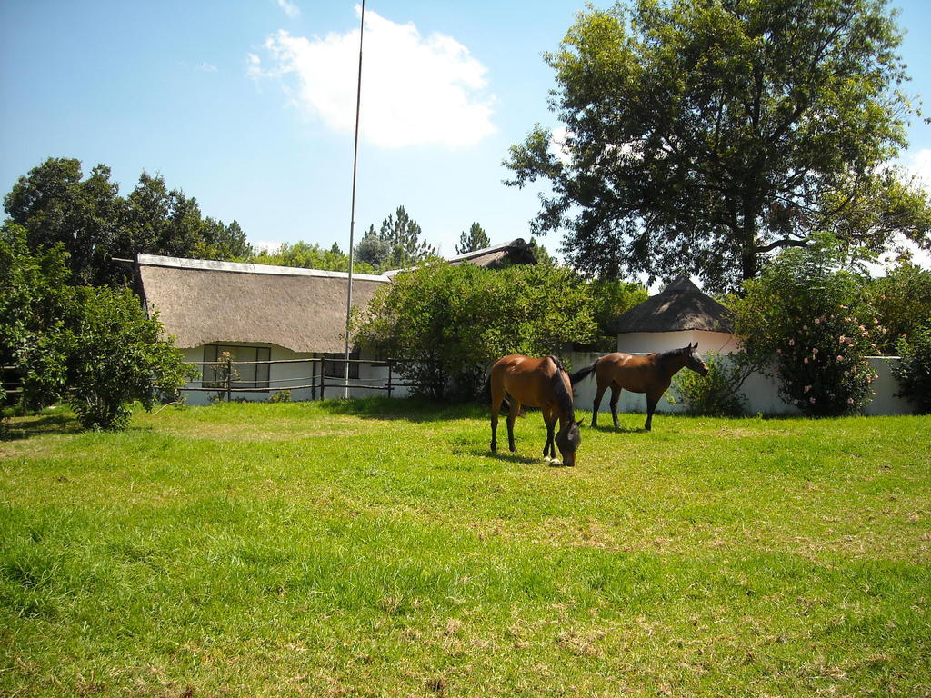 Pine Tree Lodge Мидранд Екстериор снимка