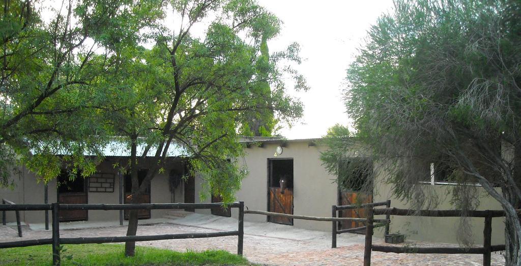 Pine Tree Lodge Мидранд Екстериор снимка