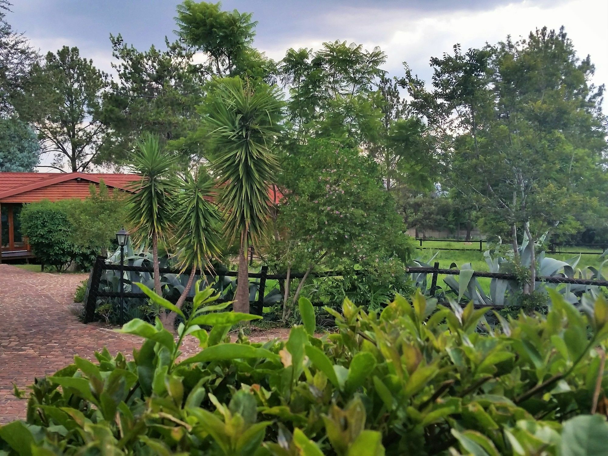 Pine Tree Lodge Мидранд Екстериор снимка